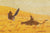 "Plains" Washi Paper Limited Edition Print