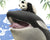 "Captives: Orcas n' Pandas" archival print