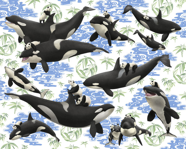 "Captives: Orcas n' Pandas" archival print