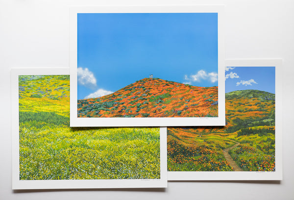"Superbloom" open edition 3 archival print set